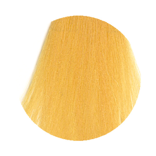 03 MATIZER Golden