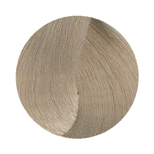 10.1 Ash Platinum Blonde