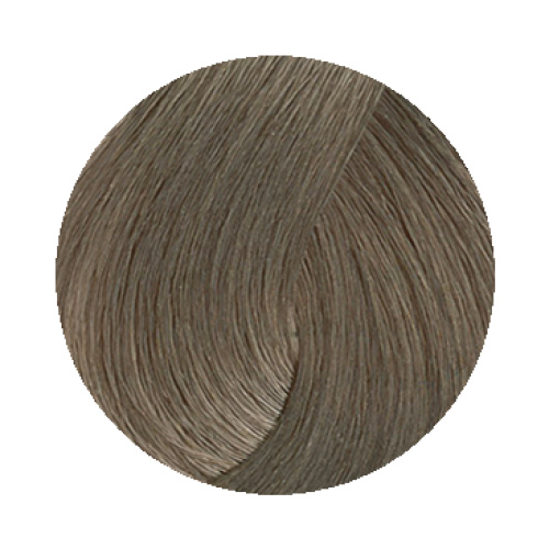 6.13 Golden Ash Dark Blonde