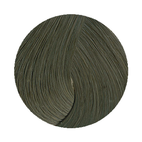 6.17 Dark Metallic Ash Blonde