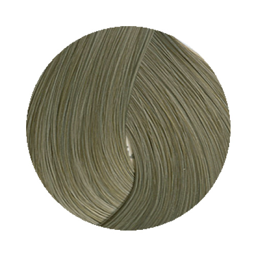 8.17 Light Metallic Ash Blonde