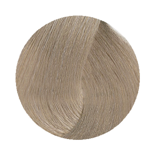 9.1 Very Light Ash Blonde