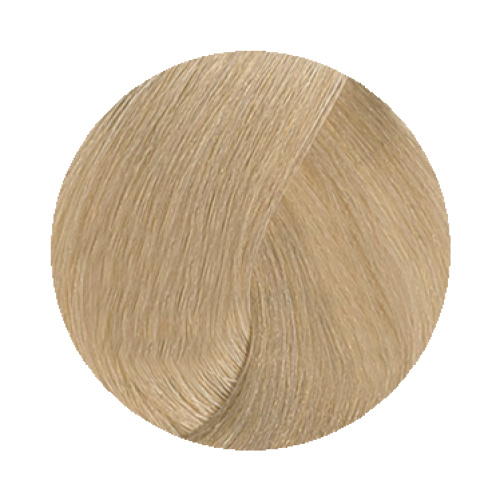 9.3 Very Light Golden Blonde